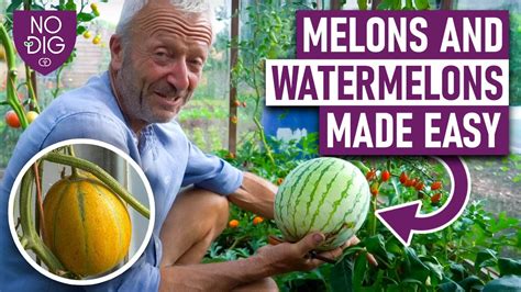 melonsrube|melons videos